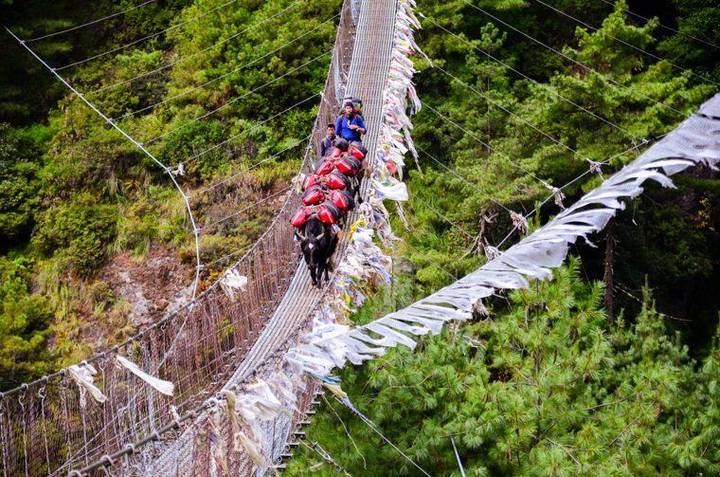 Una caravana de yaks cargados cruza un puente colgante cubierto de banderas de oración.
