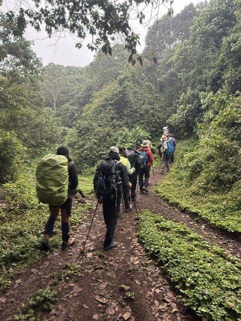 Al comienzo de la expedición, entre los 2.000 y los 3.000 metros, caminaremos a través de la selva tropical situada en la