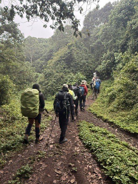 Al comienzo de la expedición, entre los 2.000 y los 3.000 metros, caminaremos a través de la selva tropical situada en la