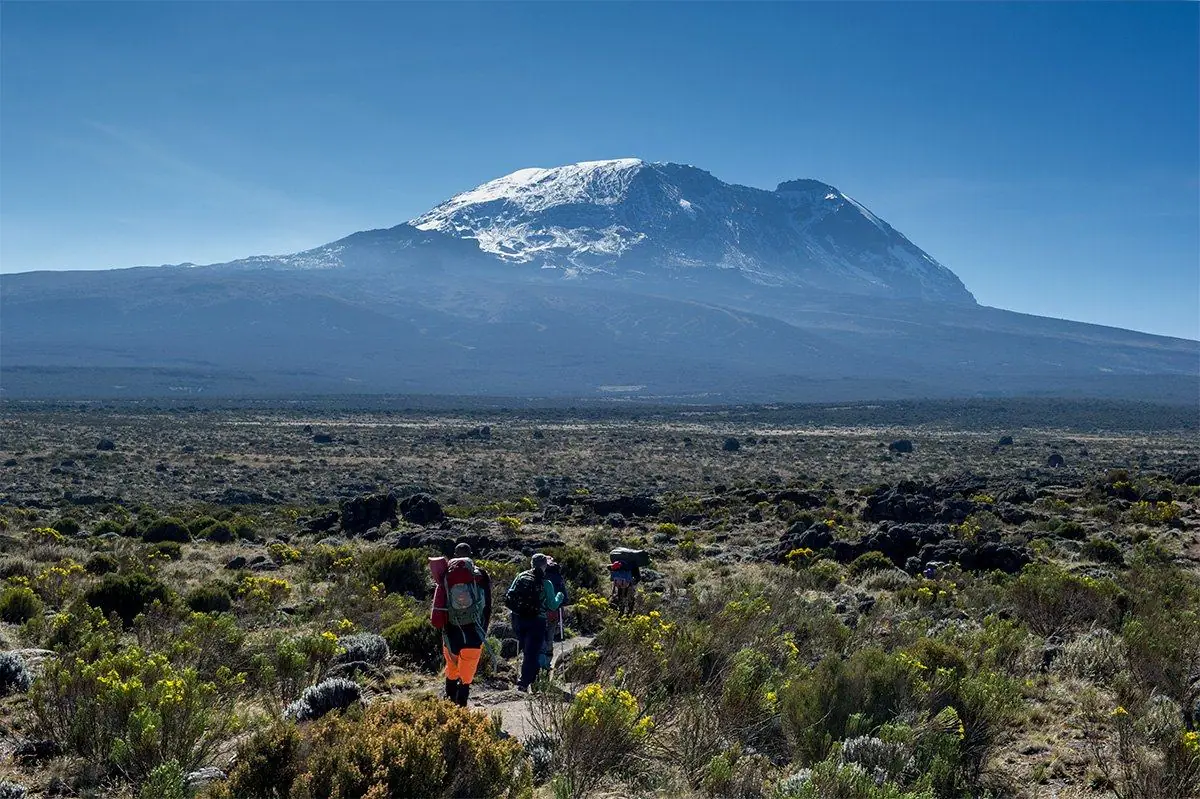 Las vistas de la Ruta Lemosho son inolvidables.